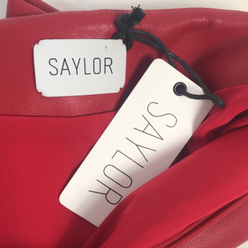 NWT SAYLOR CORALINE SKIRT - Picture 8 of 9